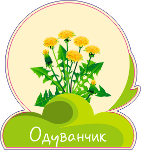 Одуванчик
