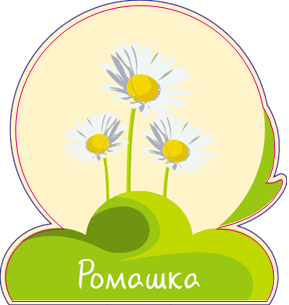 Ромашка